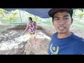 DIY march 30 unang vlog sa tarlac #construction #swemmingpool #streel #installing