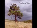 Cedar Song- Avi Soncino