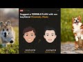 Dan & Phil - BUBBLEWRAP BOYS | Full Stereo Live (Audio w/Video!)