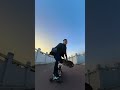 Dog Skateboard Challenge | Dogs can not only skate down stairs, but also overtake cars on curves!