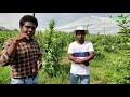 পশ্চিমবঙ্গের মাটিতে আপেল চাষ? | Apple Orchard আপেলের বাগান | Apple Garden in West Bengal