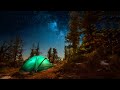 Campfire Sounds - Relaxing Forest and Nature Soundscape: Camping Under the Stars
