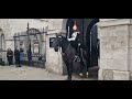 Police horses run out  of the way of the horse guards. changing of the guard #thekingsguard