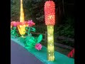 #vlog  THE ASIAN LANTERN FESTIVAL   Part of my granddaughter's birthday present