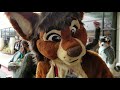 Tamias at Midwest Furfest 2018