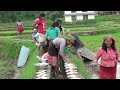 Cultivation of Rice in Nepal,  Part-1 .. HD