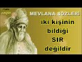 Mevlânâ Celâleddîn-i Rûmî 🌹 ( İlaç Gibi ) 🌹 '''Her canın sahibi var o'da ALLAH' tır '''