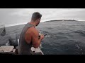 Fishing out Raglan New Zealand [ kingfish jigging fishingnz ]