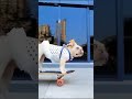 My bulldog loves skateboarding | Adorable Pets | Skilled Dogs | You never know