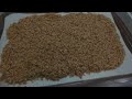 Instant Pot Mycology - Grain-spawn prep for mycology. No-soak process. Part 1