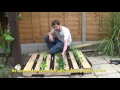 Wooden Pallet Planting