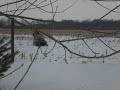 Badass Double Back Flip Snowmobiling