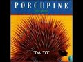 Porcupine