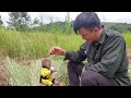 How monkey Bon and Dad build a water bamboo house (part 8) Bon cut grass leaves to thatch the roof