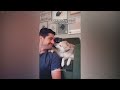 CLASSIC Dog and Cat Videos 🐶 😹 1 HOURS of FUNNY Clips