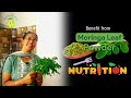 Jaw Dropping Moringa Leaves Nutritional Value per 100g - Herbal Gold