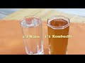 Kombucha, Pros and Cons of This Fermented Beverage