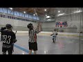 (4K) Mingos vs. Hounds (6/17/24) Ball Hockey (Premier Ball Hockey League) #ballhockey