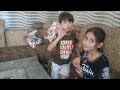 Eid-ul-Azha vlog || Saba gazal vlog #youtube #trending #viral #vlog #eidulazhamubarak