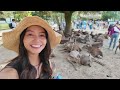 Universal Studios, Destination Wedding, Nara, Shopping and Eating in Osaka | Osaka Vlog 2024