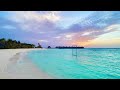 THE BEACH SWING 4K Video with Authentic Nature Sounds for Relaxation and Sleep