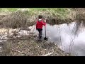 Breaking the beaver dam. then major flooding