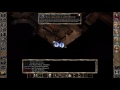 Baldur's Gate 2 Enhanced Edition, Female Edwin