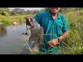 Tilapia Hunting in Clean Water with Slingshot