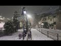 This year in Tokyo the snow is extraordinary - 4KHD video of walking #snow #winter #tokyo #japan
