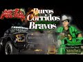 puros corridos bravos💥el rey 👑 del corrido Chalino Sánchez ✴️