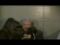 Goodbye Bristol Zoo - Animal Magic - Johnny Morris - BBCTV & BBC1 1962-83