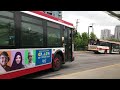 (Compilation) TTC Bus Action June/July 2023