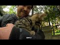 Scared feral kitten trusts a human for the first time