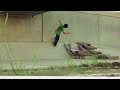 Danny Gonzalez Skate - Wallride McTwist - 2006