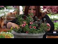 Flower Alley Experiment: Simple Container Ideas for Full Sun! ☀️🌿🙌// Garden Answer