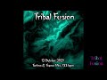 Tribal Fusion - Oktober, a mix of techno and trance, 133 bpm. 12.10.2021. DJmix.