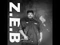 Ice Cube X 2Pac Type Beat 2024 - Disrespect | Z.E.B Beats