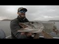 Big Muskie Crushes Bucktail on 6th figure 8 | October Full Moon Musky Fishing