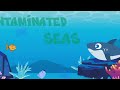 Assigment 2: Contaminated Seas