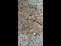 How to fix cracks in concrete