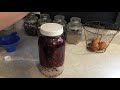 DIY Blackberry Liqueur ~ Homestead Corner