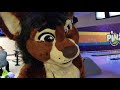 Tamias Southern Michigan Furbowl Aug 18 2018