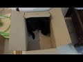 box, cat and catnip