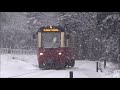 Harzer Schmalspur Bahnen - Schnee im März