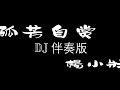 孤芳自赏 (DJ伴奏版)