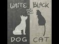 Robert Balzar Trio & John Abercrombie - Black Cat White Dog