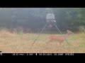 Deer Feeder Cam: Browning Spec Ops Edge May 25-28, 2024