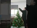 Putting up our first Christmas Tree