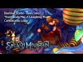 Splash Mountain - Beehive Scene | Bees Solo - 