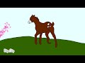Sasha Animation - The Horse (animation story)